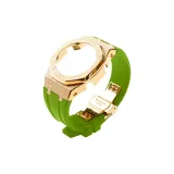 Золотой золотой корпус, светло-зеленый ремень, одежда, наборы + инструменты