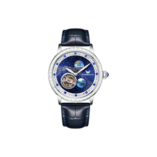 ROERDUM Автоматический механический механизм Мужские часы 42мм*42мм*12мм Синий