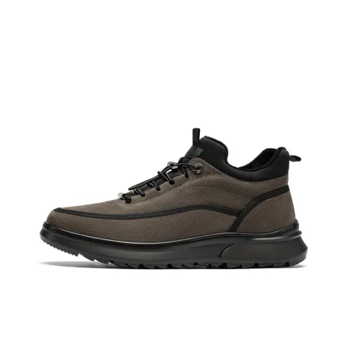 Roberta Di Camerino Casual Высокий Топ Khaki Мужской