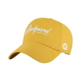 Земляной желтый