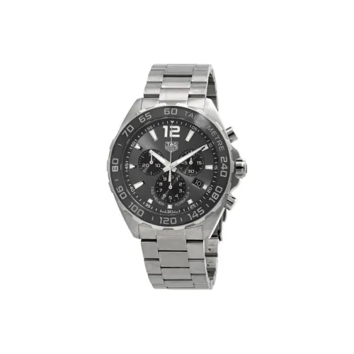 TAG HEUER Кварцевый механизм Мужские часы Циферблат 43 мм Серый корпус Нержавеющая сталь Ремешок