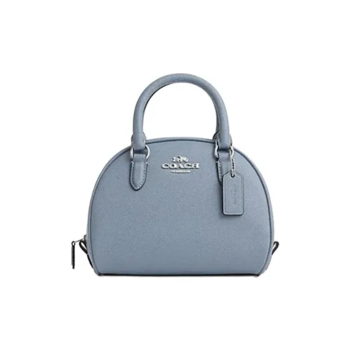COACH Sydney Кожа Сумка-купол Сумка Маленькая Женская Пыльно-серый