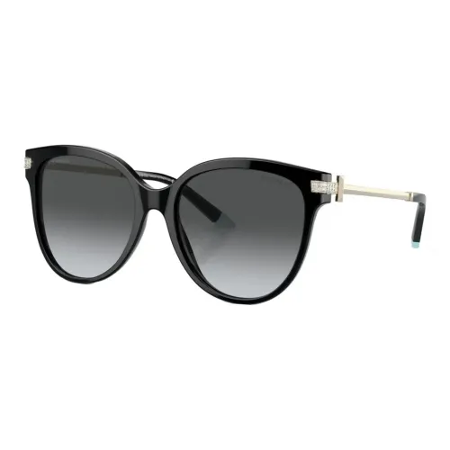 TIFFANY CO. Ацетил OVAL SUNGLASSES Унисекс Черный