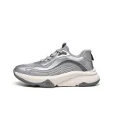 Лунный свет серый