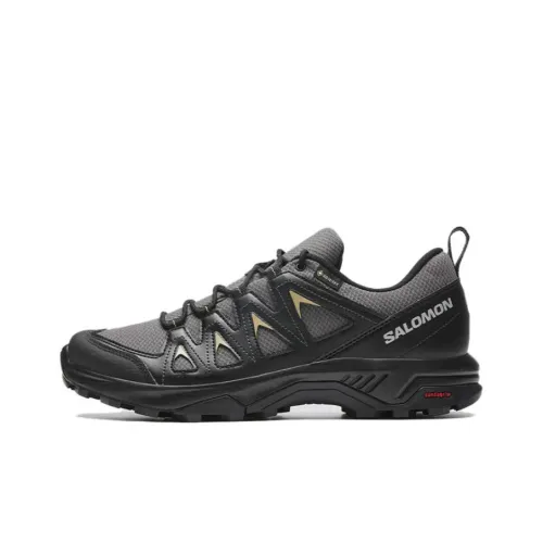 SALOMON X Braze GTX Устойчивый к истиранию Низкий Топ Уличная обувь Мужская Серый