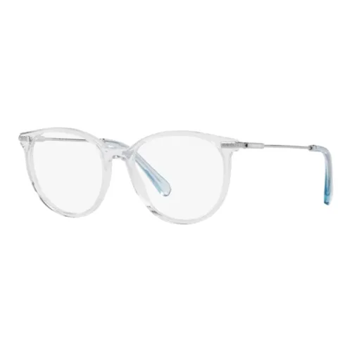 Swarovski Металл Acetate Нерегулярная форма Оправы для очков Унисекс Прозрачный