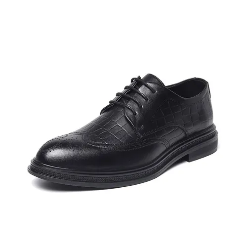 Cachiotti Обувь Низкий Топ Черный Мужской