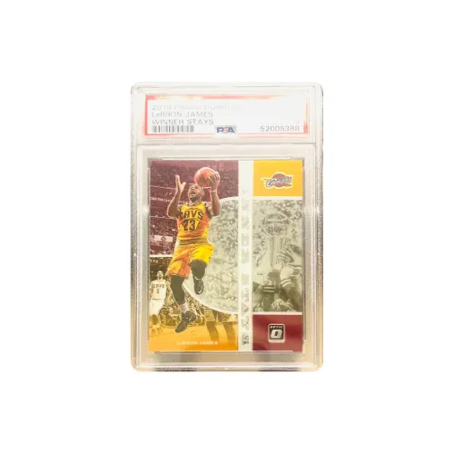 PANINI LeBron James Star Card Certified Cards 5 Pack PANINI Леброн Джеймс Звезда Карты Сертифицированные Карты 5 Пачка