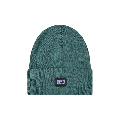Patagonia Переработанный полиэстер Beanies Мужской
