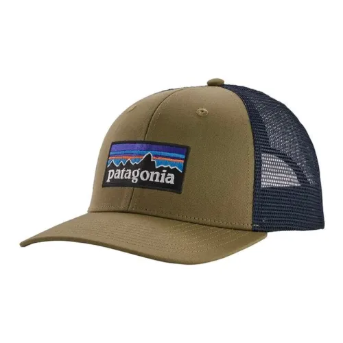 Patagonia Органический хлопок Холст Полиэстер Сетка Кепки Мужские Коричневый Синий