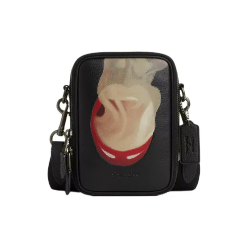 COACH TOM Коллаборация Stanton Песочный Кожа Сумка через плечо Мини Мужская Бронза Черный Разноцветный