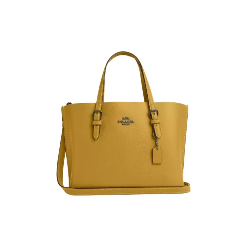 COACH Mollie Двойная Сided Кожа Тоут Сумка Сумка для покупок Сумка среднего размера Женская Антикварная Никель с льном