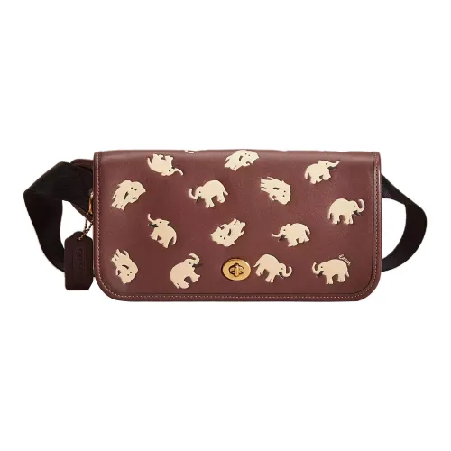 COACH Кожа Одно плечо Через плечо Бананка Большой Женский Латунь Темный Тик Многоцветный