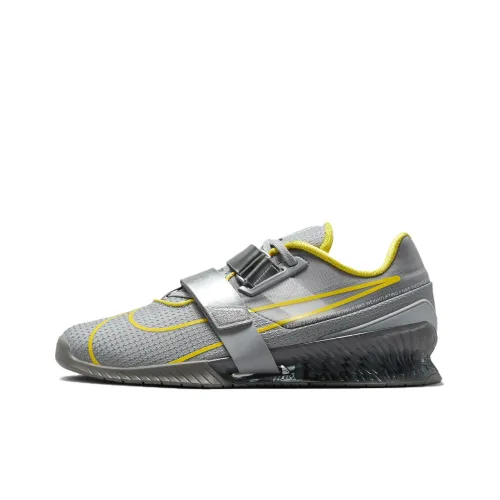 Nike Romaleos 4 Тренировочные Кроссовки Низкие Серебристо-Серые Унисекс