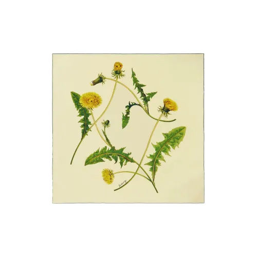 Burberry Вязаные шарфы Унисекс Напитковый Желтый