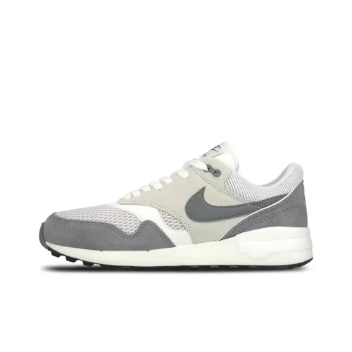 Nike Air Odyssey Envision Амортизация и Дышащий Низкий Топ Повседневная Обувь Мужская Белый Серый