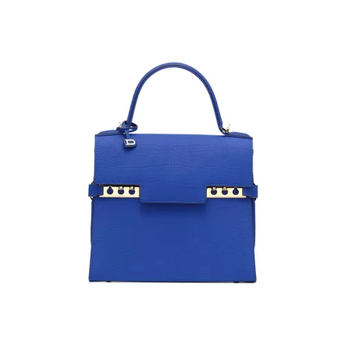 Delvau Tempête Коровья кожа крупнозернистая текстура сумка через плечо маленькая сумка женская темно-синий