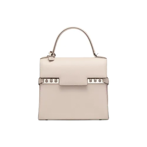 Delvau Tempête Рифленая Телячья Кожа Сумка через плечо Сумка Маленькая Женская Серый Бежевый