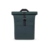 Лесной зеленый однотонный Алоэ