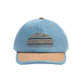 Короткие поля, многоцветный, синий