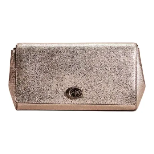 COACH Alexa Металлик Feel Wrinkle Кожа Клатч Средний Женские Платина Олово Сплав