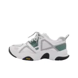 Серый Белый/Серый Зеленый