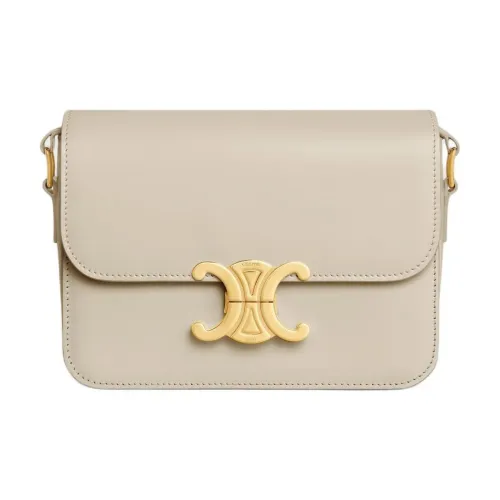 CELINE Teen Triomphe Коровья кожа Сумка через плечо Сумка на плечо Стандартная Женская Светлый Лайм Серый