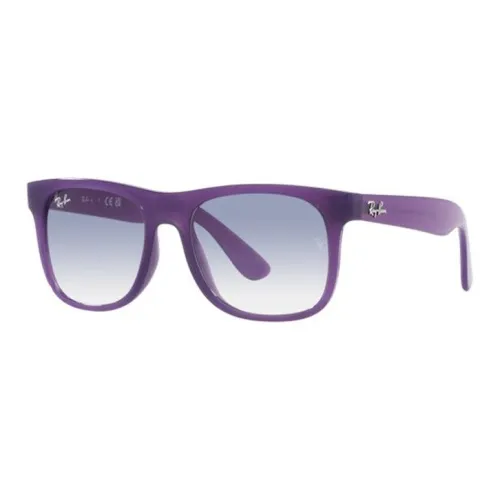 RayBan Ацетат Нерегулярная форма Солнцезащитные очки Детский Фиолетовый