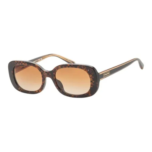 COACH Ацетат OVAL SUNGLASSES Женские Черный