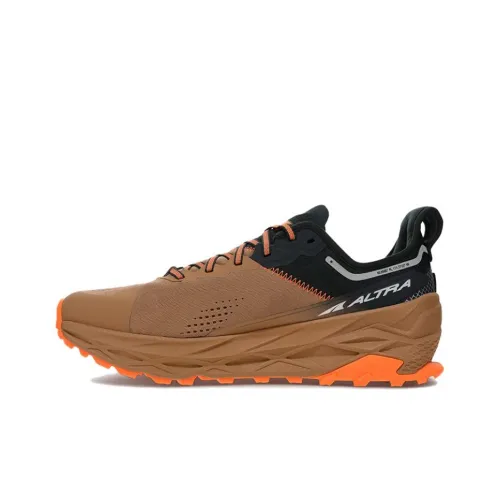 Altra Беговые кроссовки Низкий верх Коричневый Черный Мужской