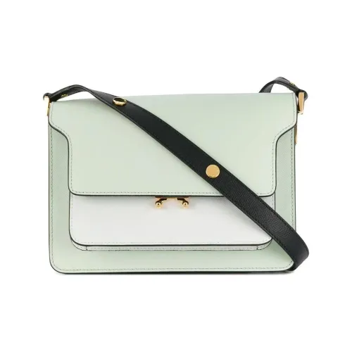 MARNI Телячья кожа Сумка Сумка через плечо Женская Белая и Мятно-зеленая