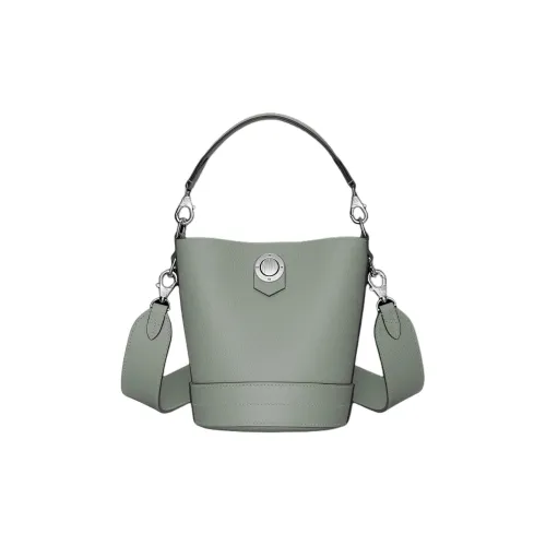 Moynat Taurillon Blush Корова Кожа Ведрообразная Сумка Сумка через плечо Женская Серый Зеленый