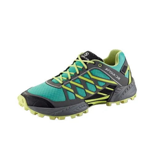 SCARPA Беговые кроссовки Низкие Синий/Желтый Женские