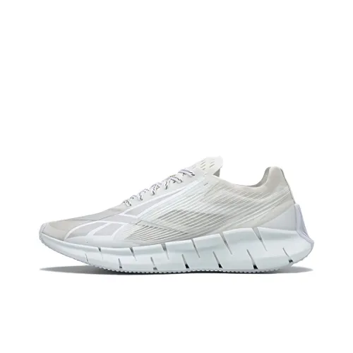 Reebok Zig 3D Storm Low Топ Casual Унисекс Белый