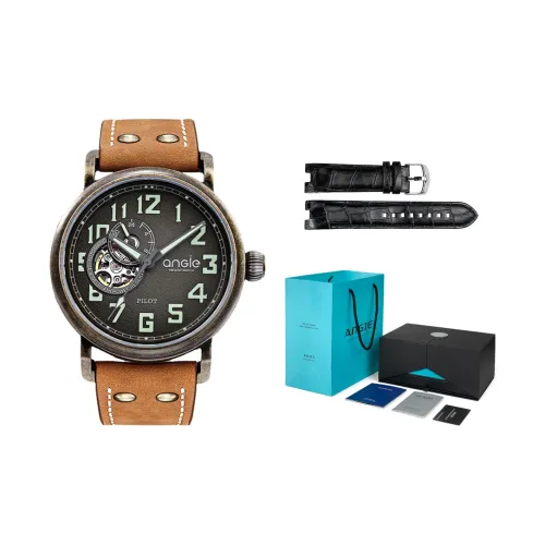 ANGIE PRESENT WATCH Автоматический механический механизм Мужской Pilot Часы 43мм*43мм*11мм Черный