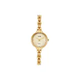 Золотой корпус, золотистый диск