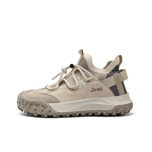 Jeep Уличная обувь Низкий топ Светло-серый Женский