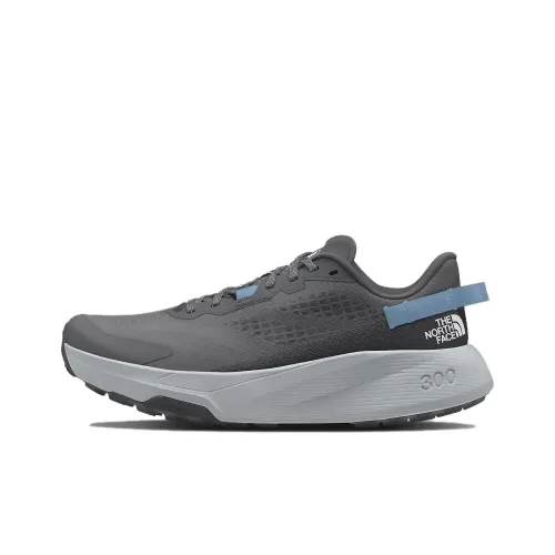 THE NORTH FACE Altamesa 300 Беговые кроссовки Низкий топ Серый Синий Женские