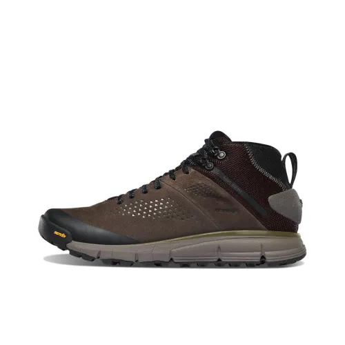 Danner Trail 2650 Уличная обувь Низкий топ Черный Коричневый Мужской