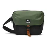 Чёрный и зелёный цвет жука.