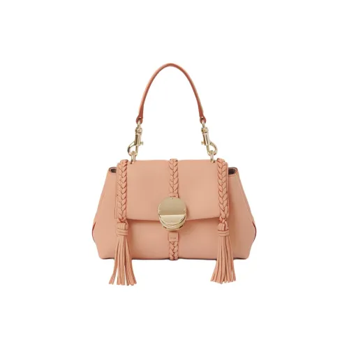 Chloe Penelope Series Napa Lambskin Сумка через плечо Сумка Mini Женская Терракотовый Розовый
