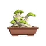 Подтвержденная версия - Genesis Сосна (разборка и сборка)