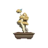 Подтвержденная версия - Daylight Кленовый (разборка и сборка)