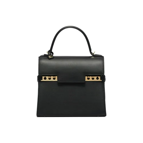 Delvaux Tempête Сумки Женские