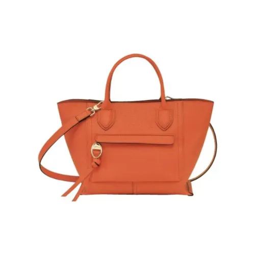 LONGCHAMP Mailbo Коровья кожа крупнозернистая текстура сумка через плечо сумка женская коричневый