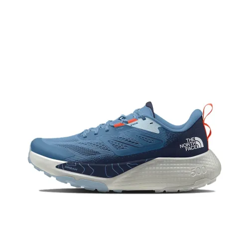 THE NORTH FACE Altamesa 500 Беговые кроссовки Низкий топ Синий Мужской