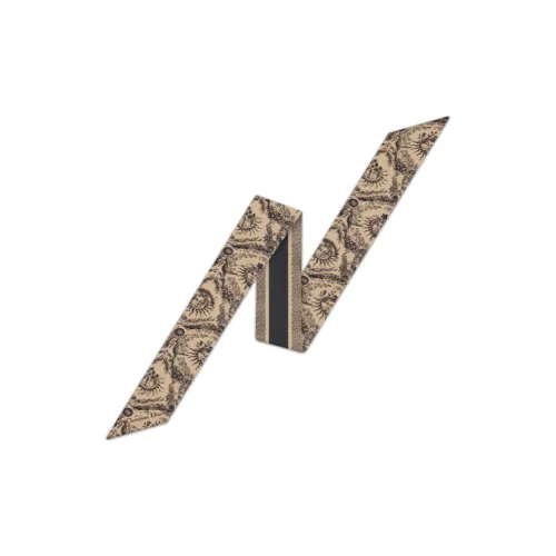 DIOR Шелковые шарфы Женские Коричневый