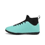 Лунные шипы