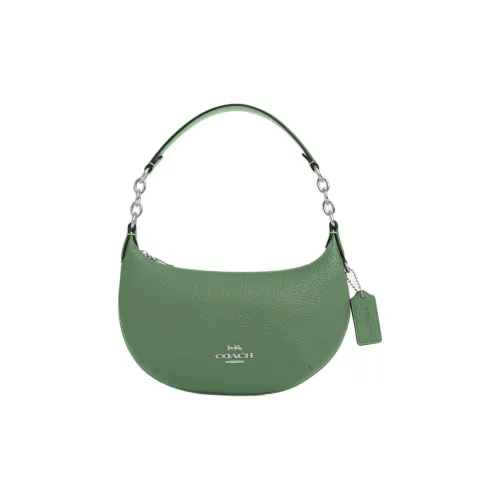 COACH Payton Песочный Кожа Плечевая Сумка Сумка Маленькая Женская Серебряный и Светло-Зеленый
