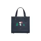 Сумка + Пылезащитный чехол